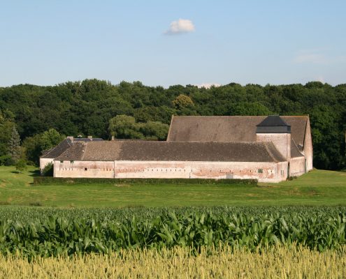 Humidité Ascensionnelle ou Mérule - Dromursec - Brabant wallon